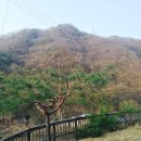 경기도펜션,연천펜션추천 : 열두개울펜션 흰가람4호 후기