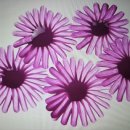 아크릴화[야간] 이미지