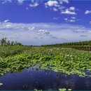 맥도생태공원 이미지