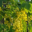 유일공조 이미지