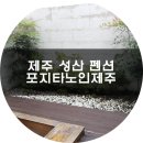포지타노인제주 | 제주 성산 숙소 포지타노인제주 성산펜션 ♭