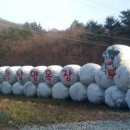 주원목장 이미지