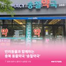 송절약국 이미지