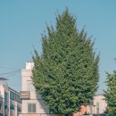 세븐일레븐 종로창성점 이미지