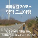 🌲해파랑길 20코스 걷기｜영덕 바람의 길에서 삶을 되돌아보다