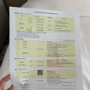 더라임호텔 | [내돈내산 잠실 호캉스] 롯데호텔 월드 | 애프터눈 티, 해피아워 이용후기