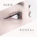 르네41 이미지
