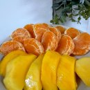 원곡우리들약국 | 일상기록모음집 27