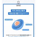 닥터웰에이징 | 닥터웰퀸즈 글루타치온 ♡ 고함량 고순도 글루타치온가루 피부 영양제 추천