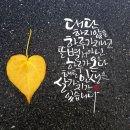 365마케팅 - 용산구 새창로 213-12 | 365마케팅