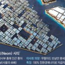 시티인포
