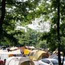 용인밤골캠핑장 이미지