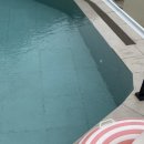 빌라 데 몬타냐 경주 이미지