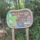 늘솔길숲이야기 화장실 | 인천 | 논현동 양도 보고 피크닉도 가능한 "늘솔길공원 양떼목장"