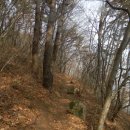 발이봉길 이미지