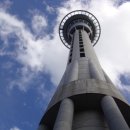 스카이타워 이미지