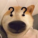 빵댕이넷 이미지