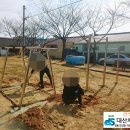 동명어린이공원 이미지