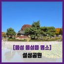 안성공원 삼층석탑 | [음성 음성읍 명소] 설성공원 - #직접체험 음성지평더웰 공원 삼층석탑 솔직 리뷰 후기