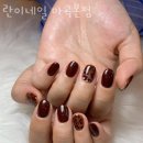 란이네 이미지