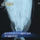 수배농장 이미지