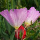 고요산책 이미지