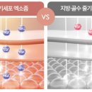 디엠컴퍼니