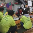 산돼지부식