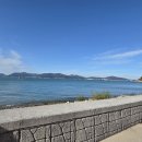 남해 파도 앞 콘크 | [남해맛집 1탄] 정원회식당ㅣ남해도착해서 제일먼저 찾아간 집