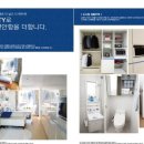 신대안개발