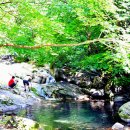 물바람버섯농장 이미지