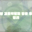 연제결혼정보