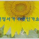 위드유 행정사사무소 이미지