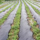 놀골농장 이미지