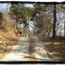 솔밭민박 이미지