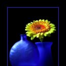 신전초등학교 이미지