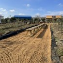 코in제주 이미지