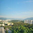 세븐건설공인중개사사무소 이미지