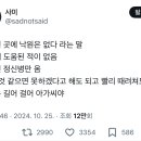 도망친 곳에 낙원은 없다 라는 말 인생에 도움된 적이 없음 이미지