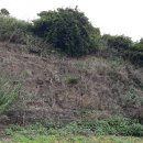 태인동 태금중학교 이미지