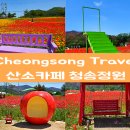 산소카페 청송정원 매표소 근처 | 경북 가볼만한 곳 청송 산소카페 청송정원 꽃구경 관람 팁!