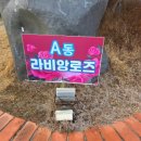 메르벨르리조트 이미지