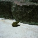 두리펜션 이미지