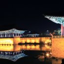 경주 Daum카페