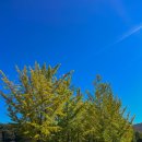 쌍이리귀바위 이미지