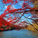 입곡군립공원 이미지