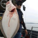 광어의전설 이미지