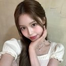 정세비 카카오 검색결과