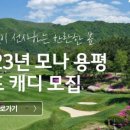 용평리조트골프클럽(회원제) 네이버블로그