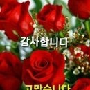 전주송광사 벚꽃축제 이미지